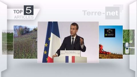 Articles les plus lus de la semaine sur Terre-net. (©Terre-net Média)