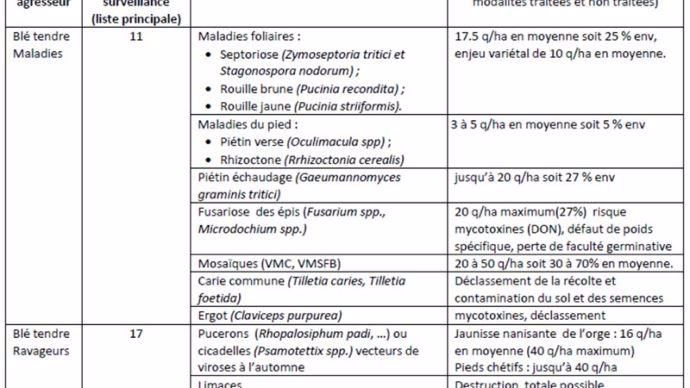 Nuisibilité moyenne des principaux bioagresseurs du blé