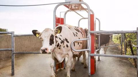 Le portique Lely Grazeway R enregistre chaque passage d'une vache grâce à son collier d'identification. (©Lely) Le portique Lely Grazeway R enregistre chaque passage d'une vache grâce à son collier d'identification. (©Lely)