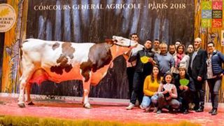 Ecriture, grande championne Montbéliarde au Sia 2018. (©Sia 2018) Ecriture, grande championne Montbéliarde au Sia 2018. (©Sia 2018)