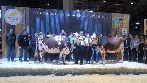 Palmarès et replay du concours Normande : Hamilton, sacrée grande championne Palmarès et replay du concours Normande : Hamilton, sacrée grande championne