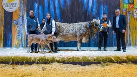 Honorine, championne femelle du concours de la race aubrac. (©Sia 2018) Honorine, championne femelle du concours de la race aubrac. (©Sia 2018)
