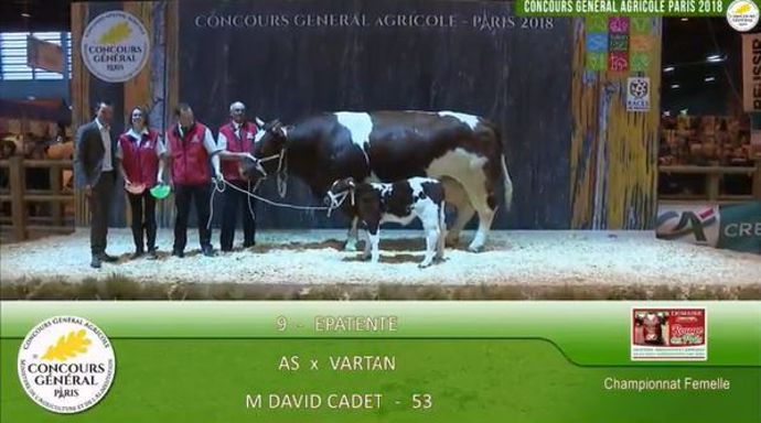 Epatente, prix rappel de championnat femelle en Rouge des prés