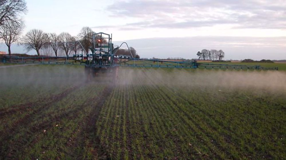 Sur le dossier du glyphosate, de nombreuses images d'illustration, sont souvent détournées pour incriminer des pratiques inexistantes ou très rares en France. (©Terre-net Média)