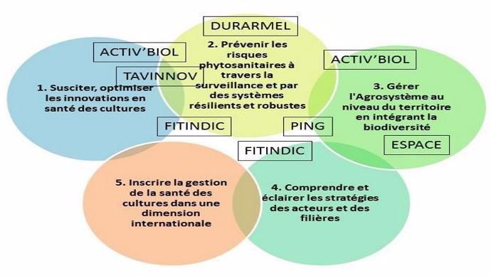 Les projets du RMT Elicitra