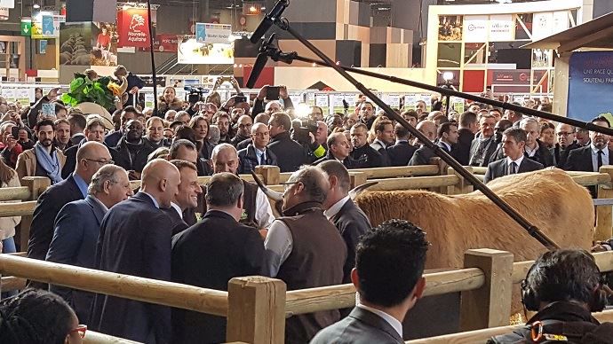 Emmanuel Macron, lors de son passage devant Haute, la vache égérie de race Aubrac, au salon de l'agriculture 2018.