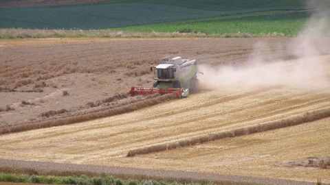 En Russie, 55 % des terres cultivées le sont par environ 40 000 grandes fermes de plus de 5 000 hectares. (©Terre-net Média)
