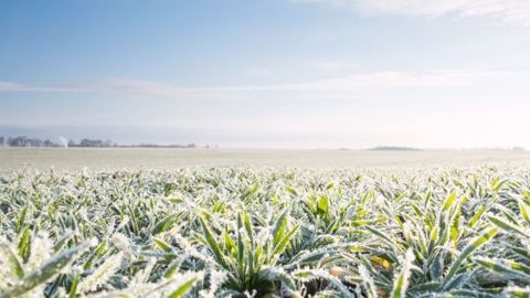 Le thermomètre devrait redescendre à - 4°C à certains endroits en France et jusqu’à - 8°C en Roumanie.  (©Svphilion/Fotolia)