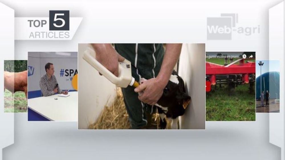 Articles les plus lus cette semaine sur Web-agri (©Terre-net Média)