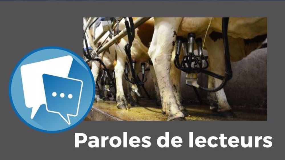 La seule solution : réguler la production à l'échelle européenne, estiment de nombreux lecteurs de Web-agri. (© Terre-net Média) La seule solution : réguler la production à l'échelle européenne, estiment de nombreux lecteurs de Web-agri. (© Terre-net Média)