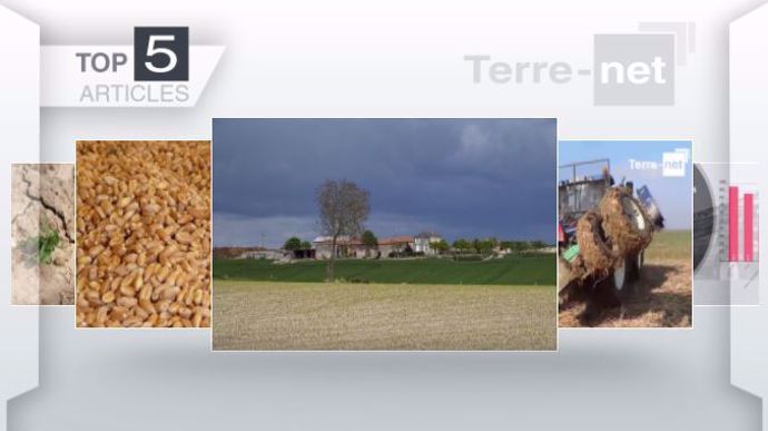 Les articles les plus lus sur Terre-net cette semaine.  