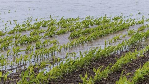 Protéger les cultures des intempéries ? Un rêve de nombreux agriculteurs qui devient réalisable grâce à "Crops out of rain" (©Fotolia) Protéger les cultures des intempéries ? Un rêve de nombreux agriculteurs qui devient réalisable grâce à "Crops out of rain" (©Fotolia)