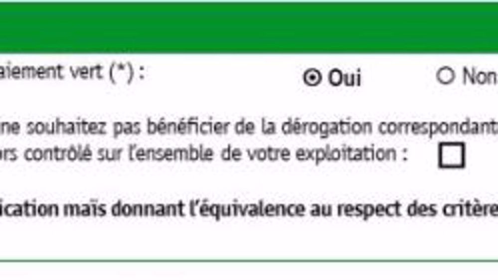 Case prévue pour la certification maïs à cocher dans la déclaration Pac (©AGPM)