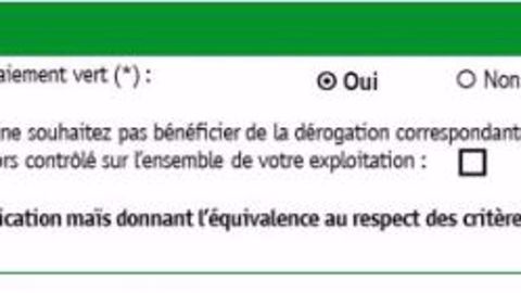 Case prévue pour la certification maïs à cocher dans la déclaration Pac (©AGPM) Case prévue pour la certification maïs à cocher dans la déclaration Pac (©AGPM)