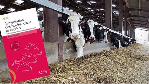 Réforme des tables de l'Inra : les calculs de rations se compliquent !