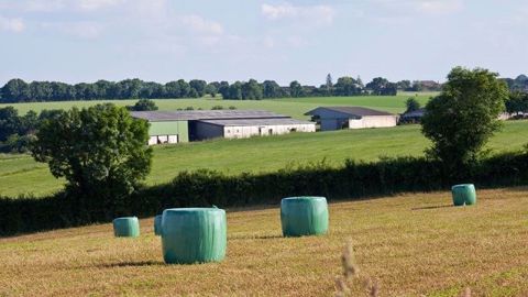 Quel sera le temps en mai et juin 2018 en France pour réaliser vos travaux dans les champs ? (©Thierry Ryo/Fotolia) Quel sera le temps en mai et juin 2018 en France pour réaliser vos travaux dans les champs ? (©Thierry Ryo/Fotolia)