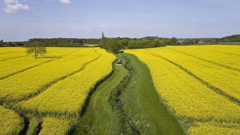 Pour la déclaration Pac 2018, les nouveautés concernant les conditions à respecter en matière de SIE sont nombreuses. (©Watier Visuels) Pour la déclaration Pac 2018, les nouveautés concernant les conditions à respecter en matière de SIE sont nombreuses. (©Watier Visuels)