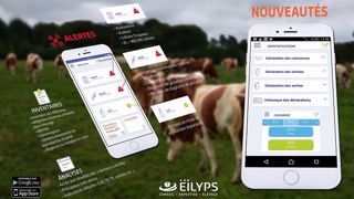 L'appli mobile Breeder donne la possibilité à l'éleveur de gérer son troupeau directement sur son smartphone. (©Eilyps) L'appli mobile Breeder donne la possibilité à l'éleveur de gérer son troupeau directement sur son smartphone. (©Eilyps)
