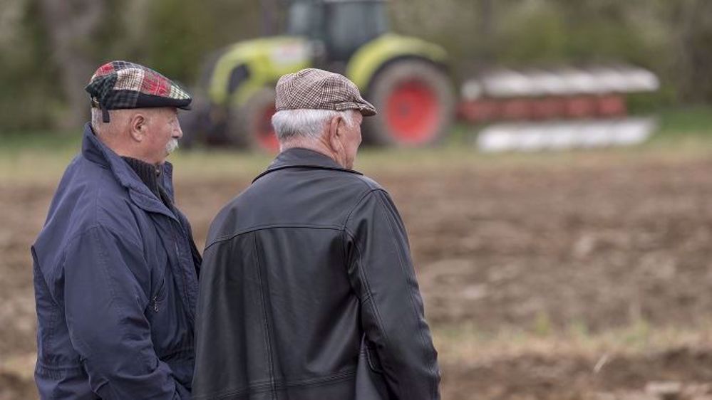 Le Gouvernement entend faire avorter la proposition de loi de revalorisation des retraites agricoles, justifiant que la revalorisation sera intégrée à la réforme plus globale des régimes de retraites, prévue en 2020. (©Terre-net Média)