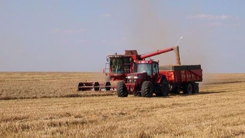 Quelle sera le temps pour votre moisson 2018 ? (©Terre-net Média)