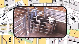 À chacun son système de contention pour intervenir en toute sécurité À chacun son système de contention pour intervenir en toute sécurité