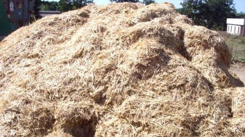 Le gros avantage du mash fibreux est qu'il peut être préparé en avance et être distribué à volonté, ce qui signifie moins de contrainte quotidienne pour l'éleveur. (©BDM) Le gros avantage du mash fibreux est qu'il peut être préparé en avance et être distribué à volonté, ce qui signifie moins de contrainte quotidienne pour l'éleveur. (©BDM)