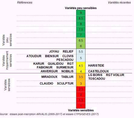 Classement des variétés de blé dur selon leur résistance au risque Don - Synthès epluriannuelle nationale (2005-2017)
