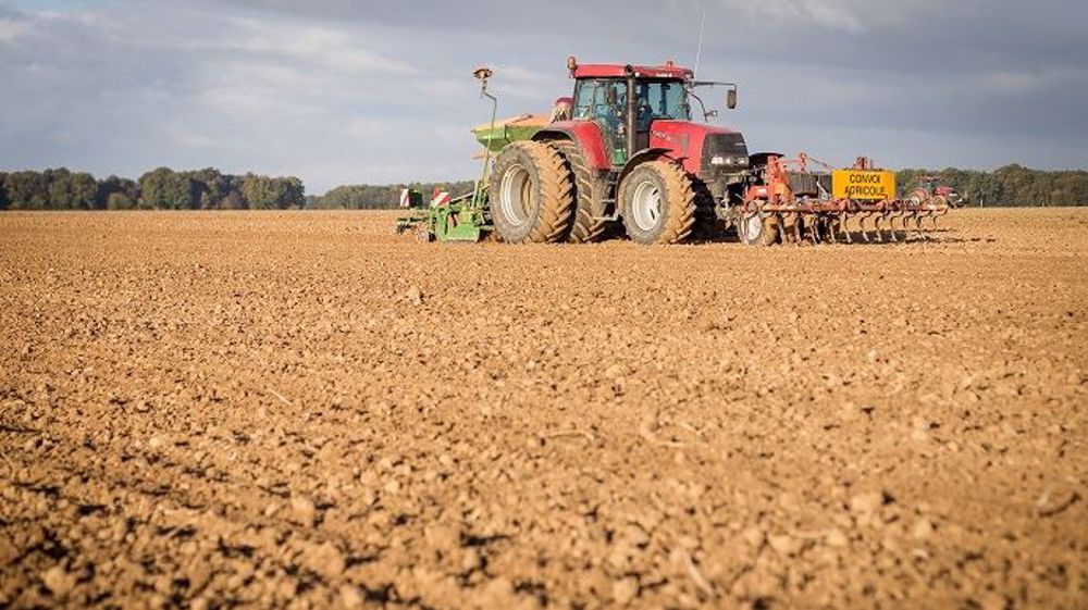 Dans sa proposition de Pac, Agriculture Stratégies prévoit une large place à la gestion des risques, et souhaite substituer les aides découplées par des aides contracycliques, fluctuantes en fonction du niveau des prix agricoles. (©Nadège Steiner)