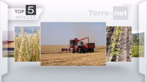 Articles les plus lus sur Terre-net cette semaine. (©Terre-net Média)