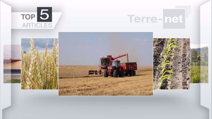 Articles les plus lus sur Terre-net cette semaine    
