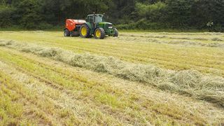 La fauche, le séchage, le fanage, l'endainage et le pressage : chaque étape de la récolte de l'herbe en foin à son importance ! (©Arvalis) La fauche, le séchage, le fanage, l'endainage et le pressage : chaque étape de la récolte de l'herbe en foin à son importance ! (©Arvalis)