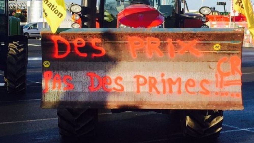 Une majorité écrasante d'agriculteurs n'espère rien de positif pour les prix agricoles et leur revenu. (©Terre-net Média) 