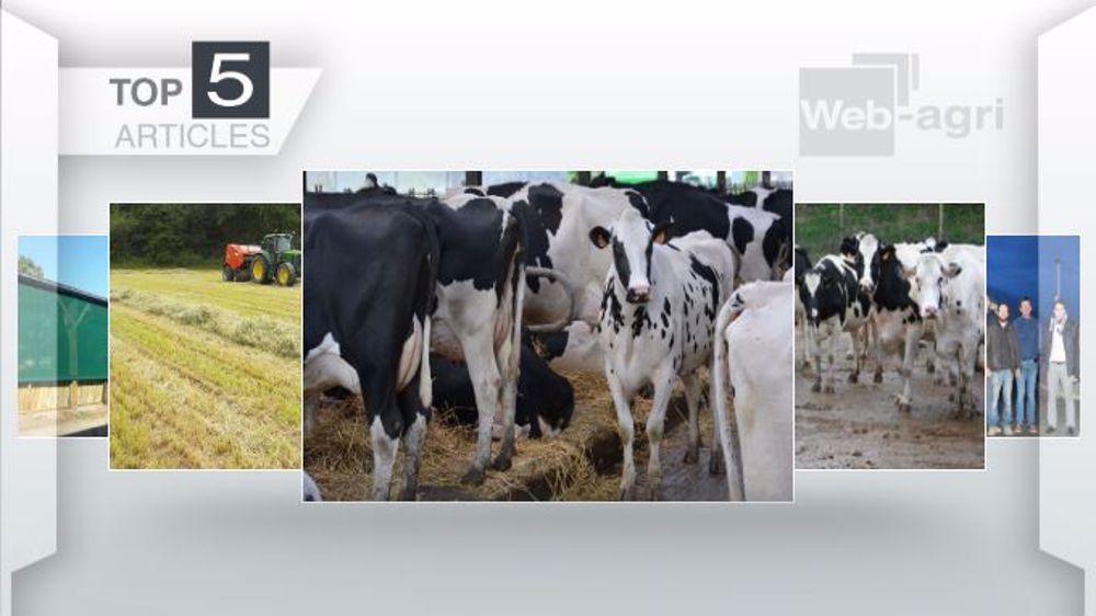 Les articles les plus lus sur Web-agri cette semaine. (©Terre-net Média)
