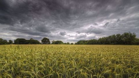 Les orages en France sont un risque pour les orges et les blés. (©Maldesowhat/Fotolia)