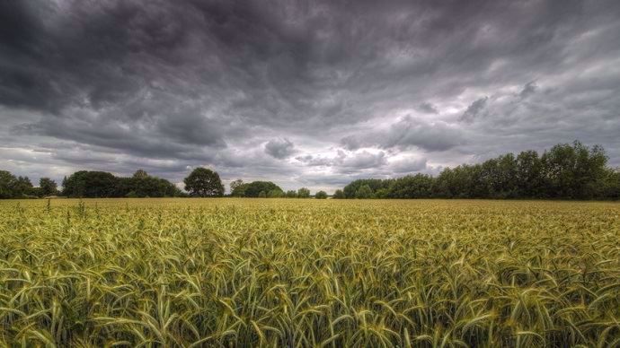 orages et orges