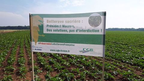 Plus de 200 panneaux ont été placés dans 29 départements français. (©Confédération générale des planteurs de betteraves) 