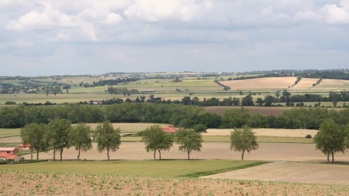 Parcelles agricoles vues de haut