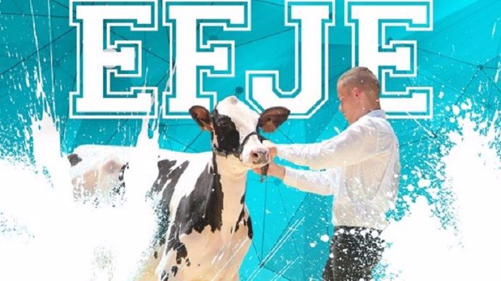 Du 26 au 29 juin c'est la 12e édition de l’École française des jeunes éleveurs animée par Prim’holstein France. (©Prim'holstein France)