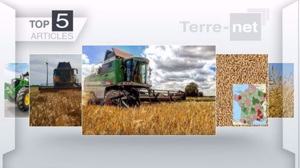 Articles les plus lus sur Terre-net cette semaine (©Terre-net Média)