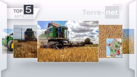 Articles les plus lus sur Terre-net cette semaine (©Terre-net Média)
