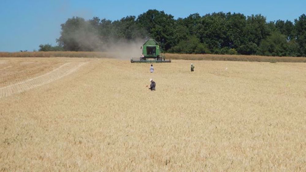 Récolter les menues pailles contribue à la gestion des adventices dans une rotation. (©Arvalis-Institut du végétal) 