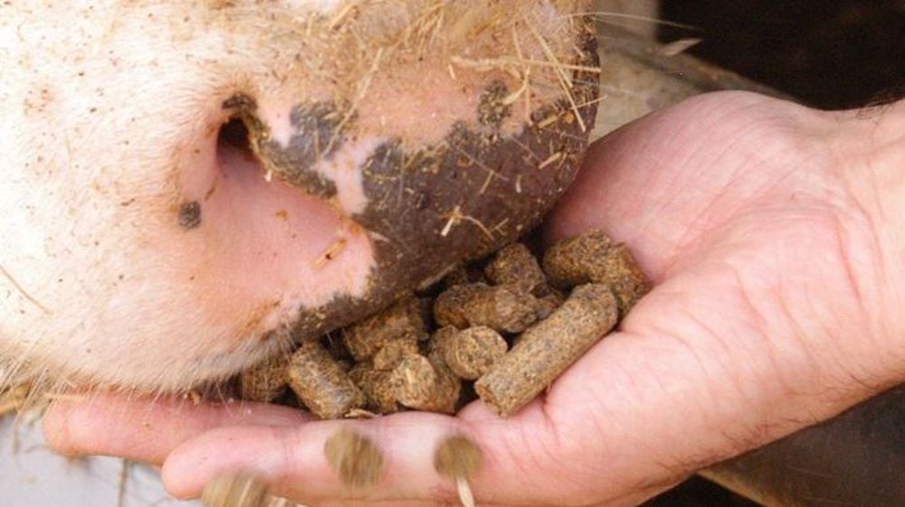 La plateforme d'achat Feedmarket permet aux éleveurs de s'approvisionner directement en matières premières (©Feedmarket) 