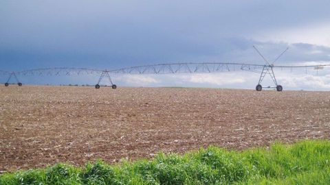 Retrouvez tous les prix du foncier agricole 2017 en Auvergne-Rhône-Alpes. (©Terre-net Média) Retrouvez tous les prix du foncier agricole 2017 en Auvergne-Rhône-Alpes. (©Terre-net Média)