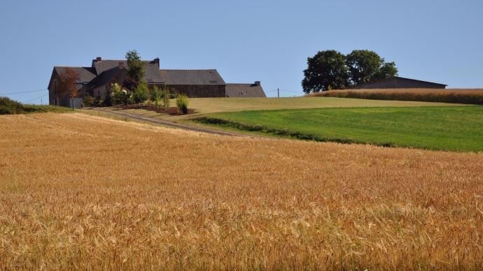 Paysage agricole