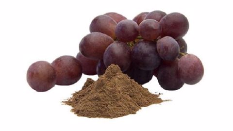 Nor-grape BP est un antioxydantun formulé avec un extrait de raisin, riche en polyphénols, anthocyanines et procyanidines. (©Nor-feed)