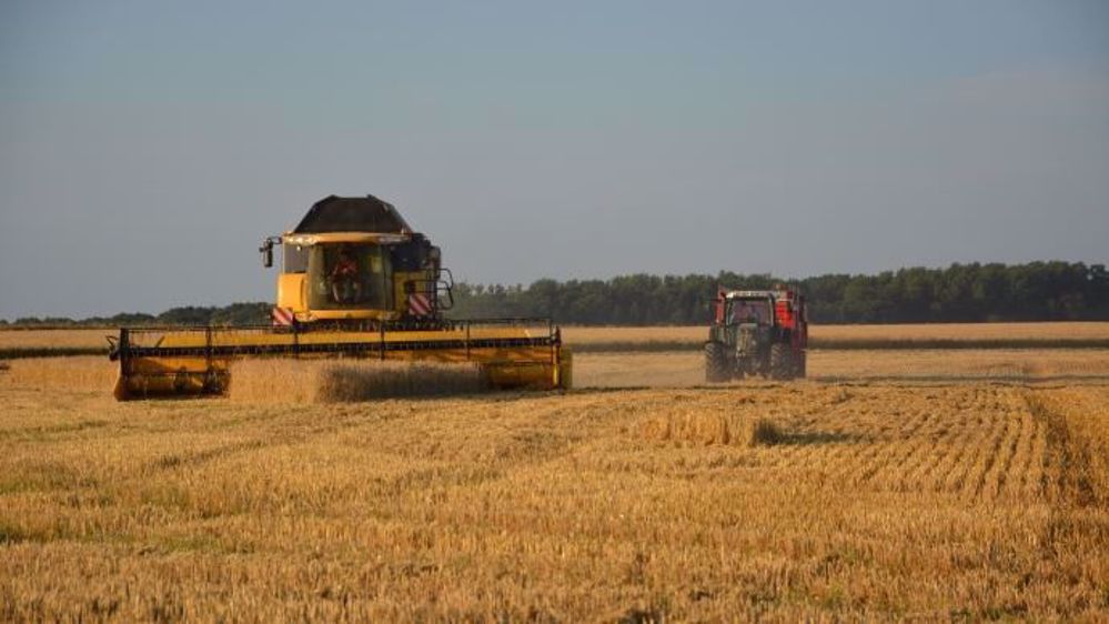 Le conseil international des céréales a révisé sa prévision de production mondiale de blé à 721 millions, ce qui serait « son plus bas niveau en cinq ans » selon les analystes de Commerzbank. (©Terre-net Média)