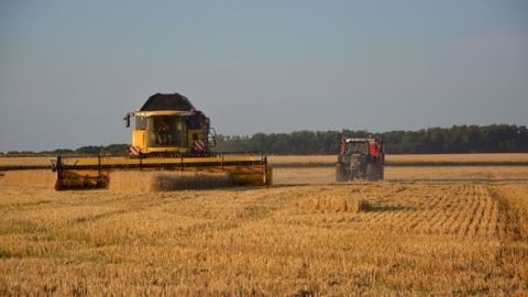 Le conseil international des céréales a révisé sa prévision de production mondiale de blé à 721 millions, ce qui serait « son plus bas niveau en cinq ans » selon les analystes de Commerzbank. (©Terre-net Média)