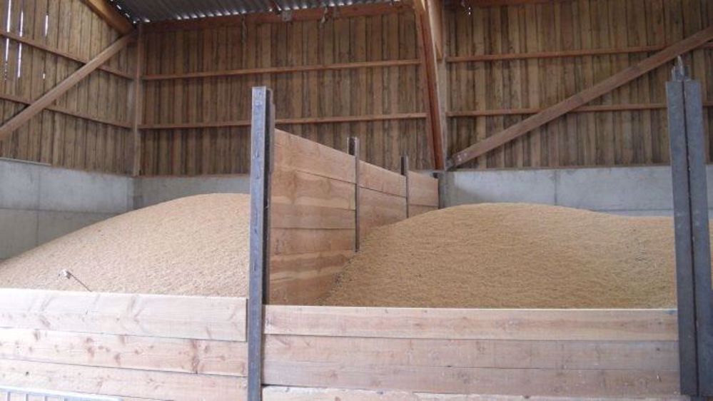  L'Europe devrait produire seulement 136,6 millions de tonnes de blé (tendre et dur) en 2018, soit une baisse de 15 millions de tonnes par rapport à 2017. (©Terre-net Média)
