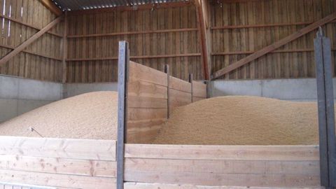  L'Europe devrait produire seulement 136,6 millions de tonnes de blé (tendre et dur) en 2018, soit une baisse de 15 millions de tonnes par rapport à 2017. (©Terre-net Média)