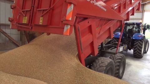 Au lieu de 41 millions de tonnes de céréales attendues, l'Allemagne ne devrait en engranger que 36. (©Terre-net Média)
